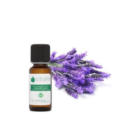 Lavendel ätherisches Öl