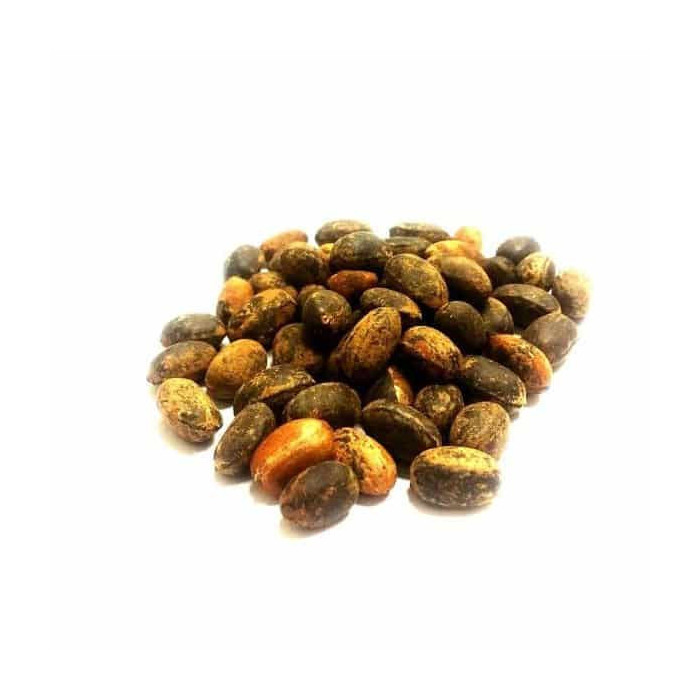 Habbat al Moulouk (contra...