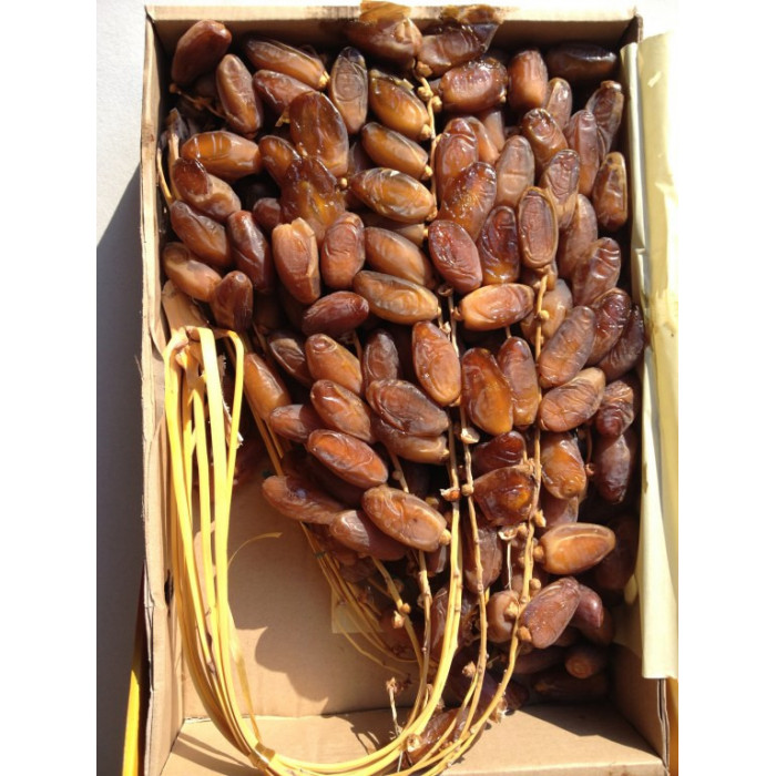 Deglet Nour d'Algérie... 2