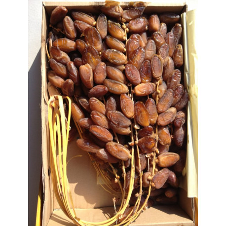 Deglet Nour d'Algérie Arjoune (avec branches) - 1,5kg
