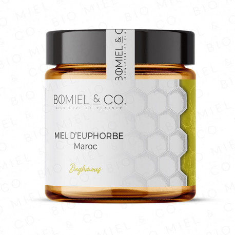 Honey euphorbia / daghmouss from...