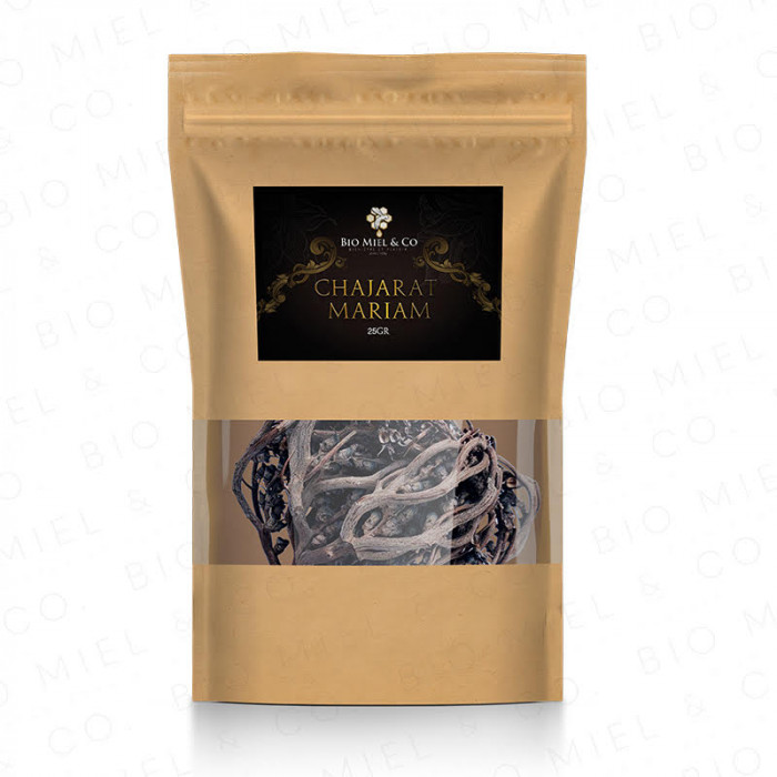 Jericho Rose / Chajarat Mariam