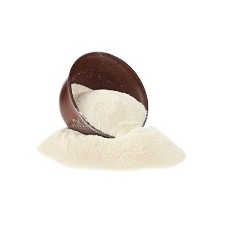 Lait de chamelle en poudre (5 sachets de 10gr)