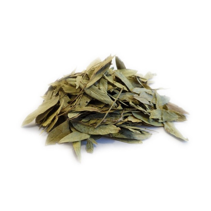 Leaves of Senna (Sana Makki) 2