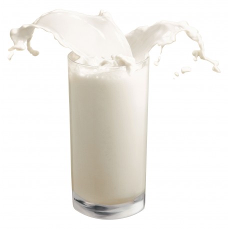 États-Unis : un lait infantile issu du lait de chamelle