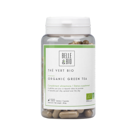 Organic certified green tea Ecocert (capsules)