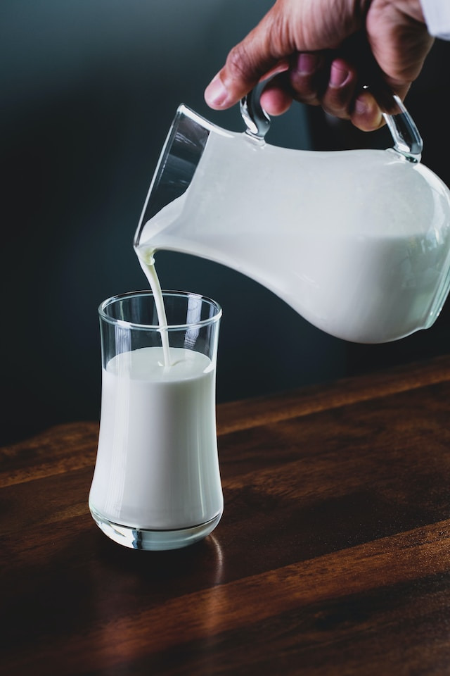 Le lait de chamelle : ses bienfaits pour la santé et la peau - BioMiel & Co